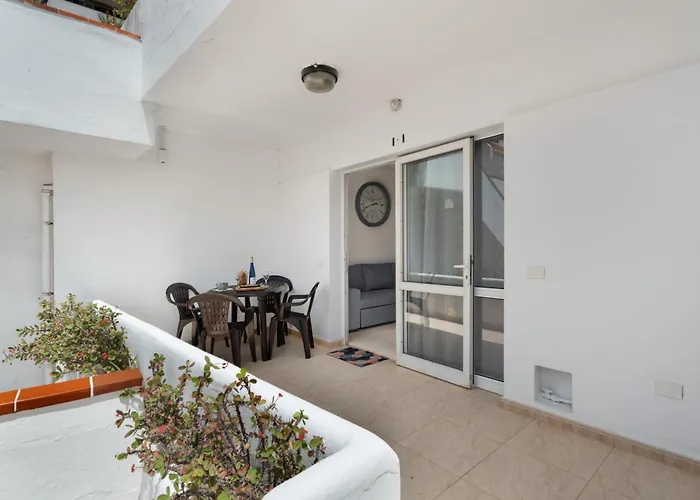 Sunset Lux Floritas *